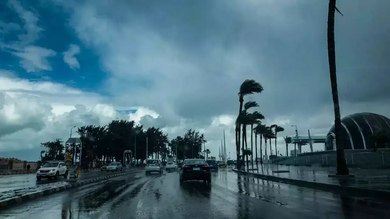 تحذير من الأرصاد حول شبورة كثيفة وأمطار مفاجئة تضرب مناطق واسعة غدًا